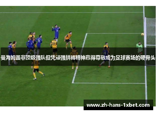 曼海姆虽非顶级强队但凭顽强拼搏精神赢得尊敬成为足球赛场的硬骨头