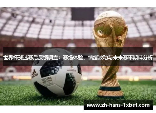 世界杯球迷赛后反馈调查：赛场体验、情绪波动与未来赛事期待分析
