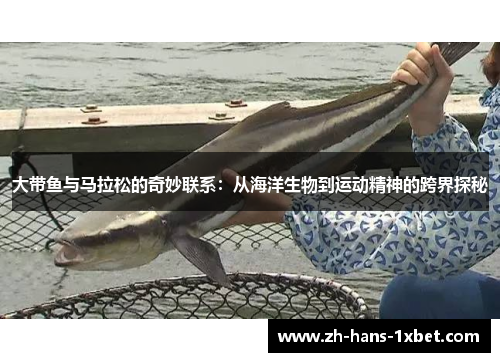 大带鱼与马拉松的奇妙联系：从海洋生物到运动精神的跨界探秘