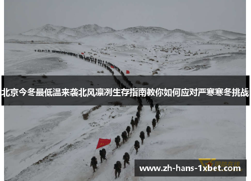 北京今冬最低温来袭北风凛冽生存指南教你如何应对严寒寒冬挑战