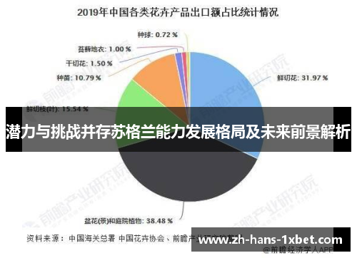 潜力与挑战并存苏格兰能力发展格局及未来前景解析